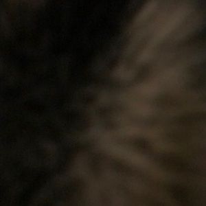 Meet your Posher, Jesus